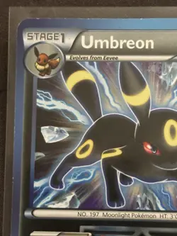 Pokemon TCG Umbreon Team Plasma 64/116 Plasma Freeze Reverse Holo Rare 2013 - Image 4