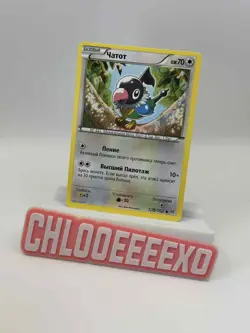 Rare Russian Pokemon TCG Chatot 128/162 BREAKthrough Set (2015) NM Vintage - Image 1