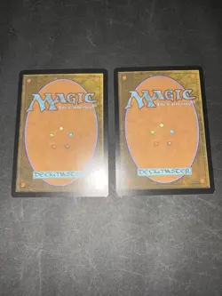 MTG Agility is Mud, Ragaban English Expansion Set of 2 - Image 2