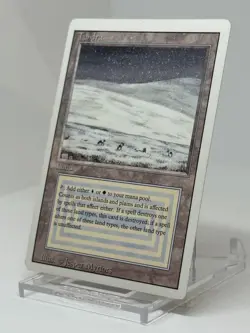 ã€ŠTundraã€‹ English version Revised MTG - Image 3