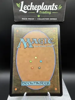 Dualcaster Mage (Borderless) Special Guests Foil - Image 2
