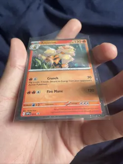 Pokemon TCG Arcanine SVP Black Star Promos SVP011 Holo Promo - Image 3