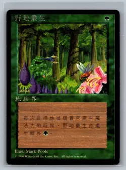 Magic The Gathering CHINESE 4th Edition Wild Growth Black Border MTG FBB TCG - Image 1