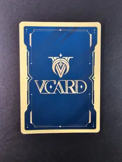 Captain Hannah 10 Holo 1st Edition Awakened Worlds Card GamerSupps VCard 015/250 - Image 5