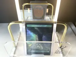 Forest (0307) Final Fantasy Foil Card MTG Magic The Gathering NM 2025 - Image 1