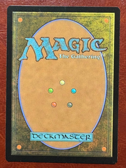 1x NM Time Warp - 022/063 M STA - MTG Magic Never Played x1 - Image 2