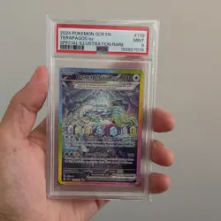 Pokemon TCG Terapagos ex 170/142 Sv07: Stellar Crown EN SIR Holo PSA 9 - Image 1