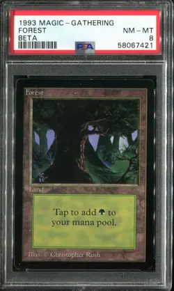 PSA 8 1993 MTG Magic The Gathering Beta #302 Forest v3 or C - Image 1