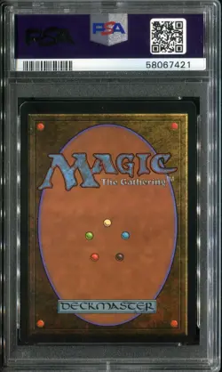 PSA 8 1993 MTG Magic The Gathering Beta #302 Forest v3 or C - Image 2