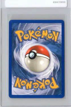 Swinub 107/144 Pokemon TCG Skyridge Non Holo 2003 WOTC e‑Reader NM/VLP - Image 2
