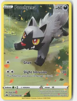Poochyena GG33/GG70 Holo Crown Zenith Galarian Gallery Pokemon Holo NM - Image 1