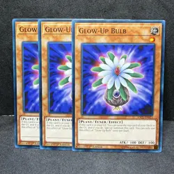 3x Yugioh Glow-Up Bulb SDCL-EN021 Common - LP-NM 💎 - Image 1