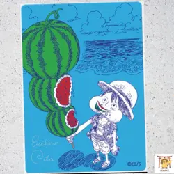 ONE PIECE METAKIRA LUFFY CARD JAPAN SIGN SUMMER COMIC NATSU COMI 2026 Set Of 10 - Image 2