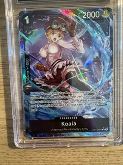 Pristine CGC 10 Koala From One Piece. Free UK Delivery 🚚 - Image 3