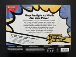 Pokemon TCG - Mega Evolution - Ascended Heroes - Mega Feraligatr EX Box - New - Image 2