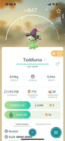 Pokemon Go Shiny Teddiursa Witch Hat Halloween - Image 1