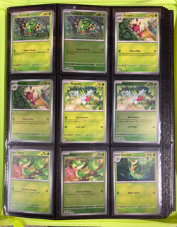 Pokemon Perfect Order COMPLETE Master Set | 203 Cards - Image 1