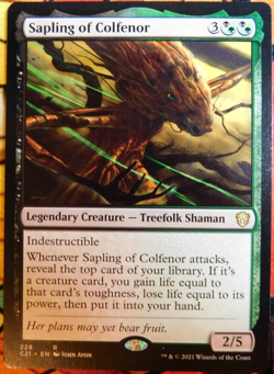 MTG - Single - C21; Sapling of Colfenor - NM - Unplayed - Image 1