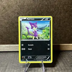 Purrloin 1/30 - Zoroark Trainer Kit - Pokemon Card TCG - Image 1