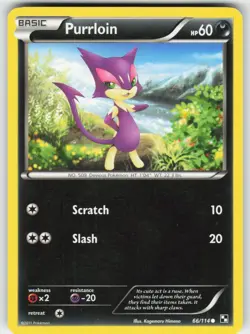 Purrloin 66/114 Common Black & White Pokemon Moderately Played - Image 1