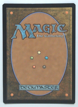 MTG Bling - Foil - Battle for Bretagard - Kaldheim -H271 - Image 2