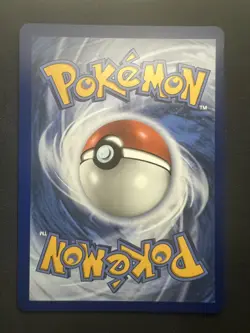 Pokemon TCG First Partner Illustration Collection Series 2 Galar GEN 8 Starters - Image 3