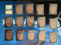 MTG Beta Complete Set of 15 Basic Lands Played Magic the Gathering - Image 2