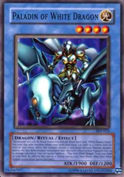 Paladin of White Dragon - SKE-024 - Common - Unlimited Edition - Heavily Played - Image 1