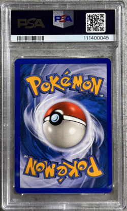 Pokemon Card Ledyba PSA 10 Gem Mint, e-Reader Skyridge 73/144, WOTC 2003 - Image 2