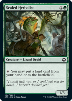 x4 Scaled Herbalist - Forgotten Realms - NM - MTG - Image 1