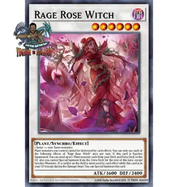 Yugioh! 1x Rage Rose Witch DOOD-EN040 Ultra Rare 1st Ed NM - Image 1
