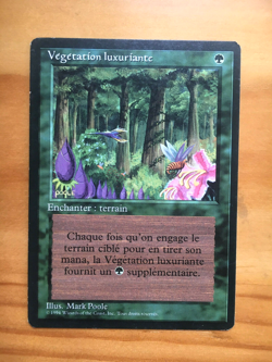Mtg Carte Magic Fbb Wild Growth French SP/MP - Image 1