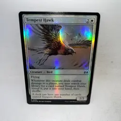 Tempest Hawk 31 Common Tarkir: Dragonstorm Magic: The Gathering Foil LP - Image 1
