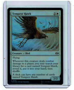 Tempest Hawk - Foil - Tarkir Dragonstorm - Image 1