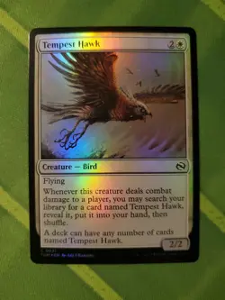 Tempest Hawk FOIL Tarkir Dragonstorm MTG NM - Image 1