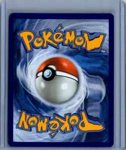 Pokemon Surging Sparks #205/191 Phanpy Full Art SIR - Image 2