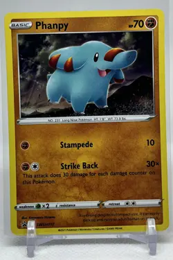 Phanpy SWSH117 Sword & Shield Promo 2021 Black Star Promo Holo Pokemon TCG NM - Image 1