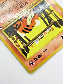 Growlithe No.058 Vending Series 3 Vintage Glossy Japanese Pokemon Card - Image 5