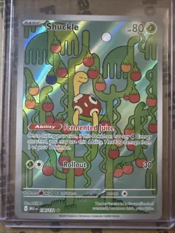 Shuckle 136/132 Illustration Rare, Mega Evolution, Full Art Holo, Pokemon TCG - Image 1