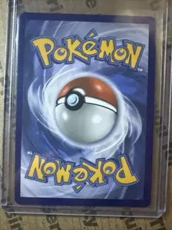 Shuckle 136/132 Illustration Rare, Mega Evolution, Full Art Holo, Pokemon TCG - Image 2