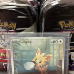 Pokemon TCG Lillipup 154/086 Illustration Rare Card White Flare NM - Image 5