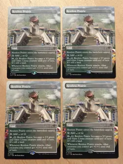 MTG Magic the Gathering 1x Restless Prairie Borderless Lost Caverns of Ixalan NM - Image 1