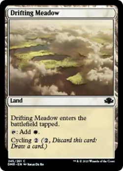 Drifting Meadow - Near Mint MTG Dominaria Remastered - Image 1