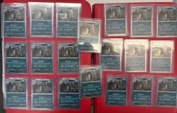 LOT OF 20 - Umbreon - 059/131 - Cosmos Holo NM, English Pokemon Prismatic - Image 1