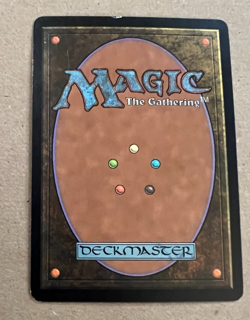Dark Confidant - Ravnica: City of Guilds - MTG - Magic the Gathering - Image 3