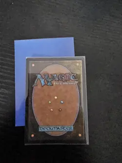 Enduring Curiosity NM Japanese Showcase Foil MTG Duskmourn DSK Unplayed Magic - Image 2