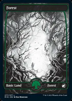 Forest (277) -Foil Light Play MTG Innistrad: Midnight Hunt - Image 1