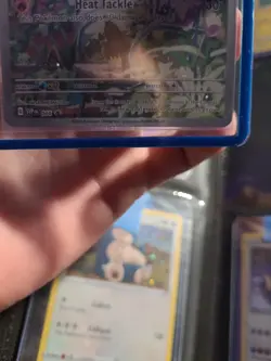 SV Black Star Promo 44 Charmander Pokemon Center Promo * SEALED * - Image 3