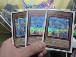 Yugioh Mulcharmy Purulia MP25-EN085 Prismatic Secret Rare 1st Edition NM x3 - Image 1