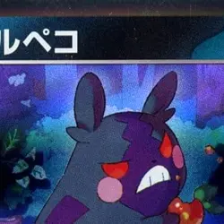 Pokemon Morpeko Holo 098/187 SV8a Terastal Fest ex Japanese Card - Image 3